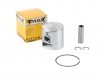 PROX 01.3303.125 TŁOK SUZUKI RM 250 '82-'85 (STD.